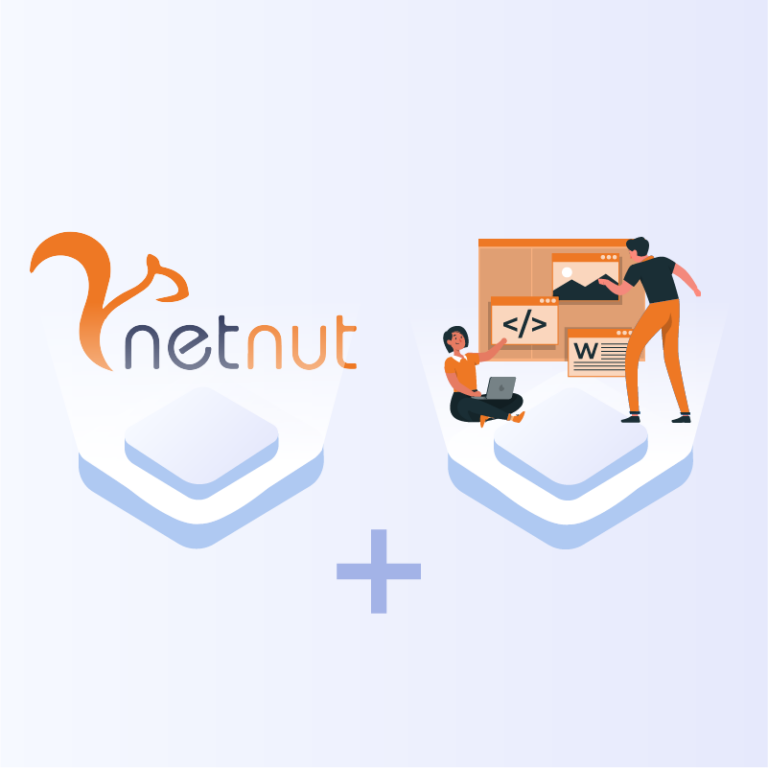 Step-by-Step Guide on How To Build Your Web Scraper - NetNut