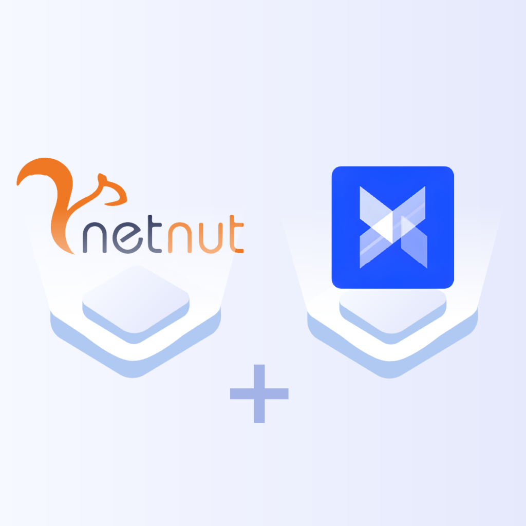 How to Set up Netnut Proxies in Antidetect Browser Ads Power