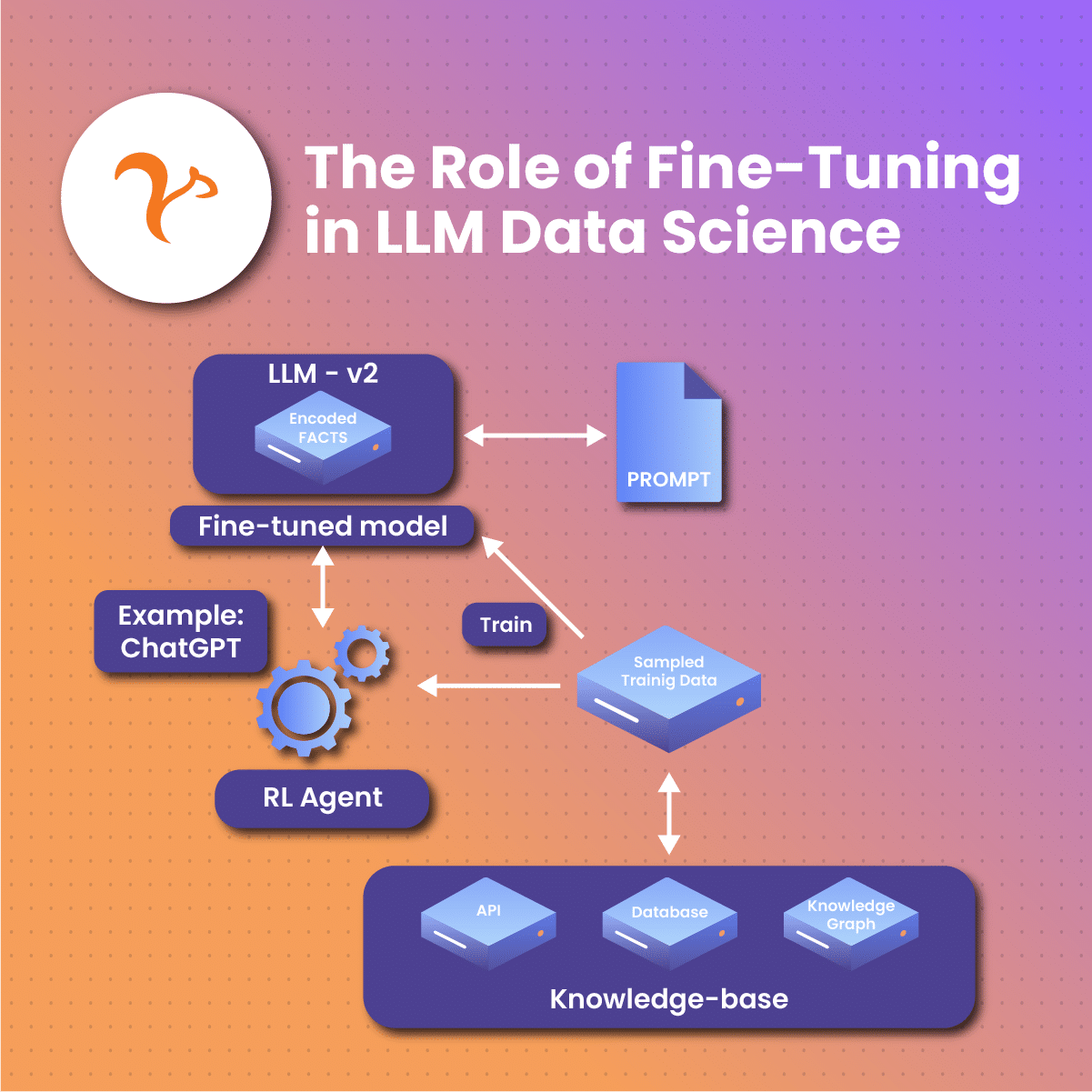 The Role of Fine-Tuning in LLM Data Science