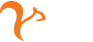 netnut logo