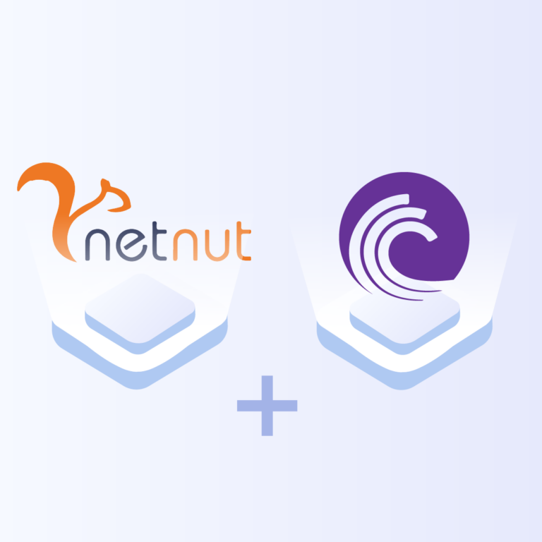 How To Set Up Proxy On BitTorrent- NetNut