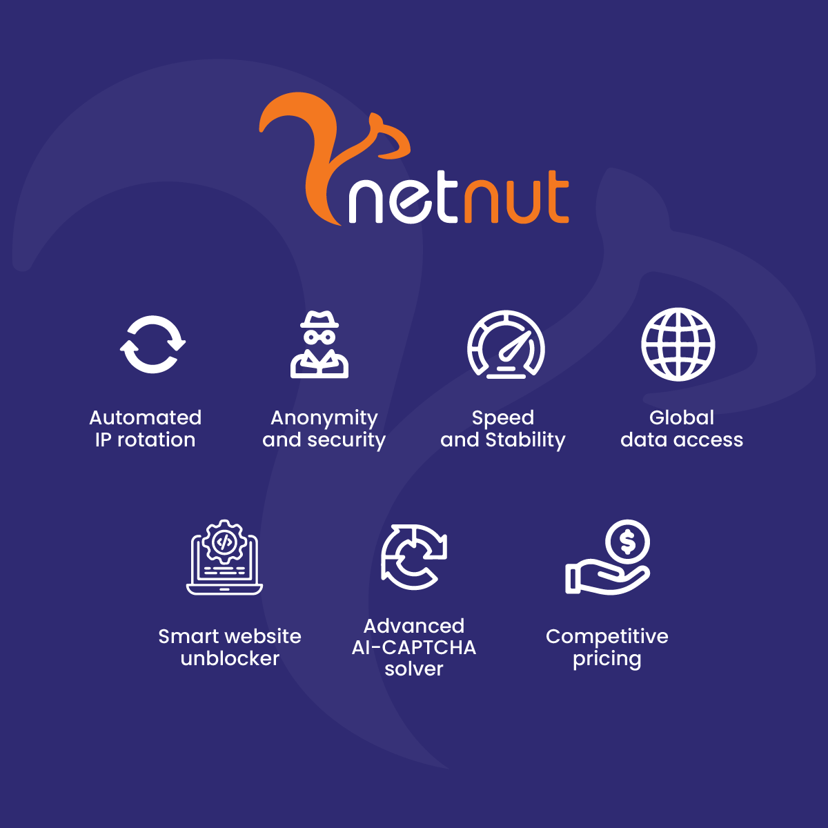 The Best Proxy For Playwright Scraping- NetNut