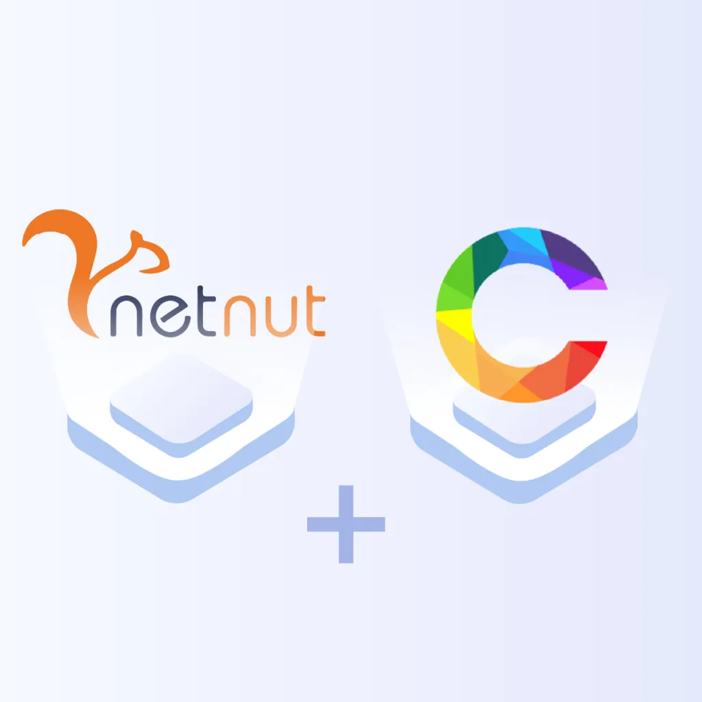 Learn How To Set Up Proxy on Chameleon Antidetect Browser- NetNut