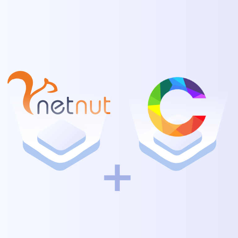 Learn How To Set Up Proxy on Chameleon Antidetect Browser- NetNut
