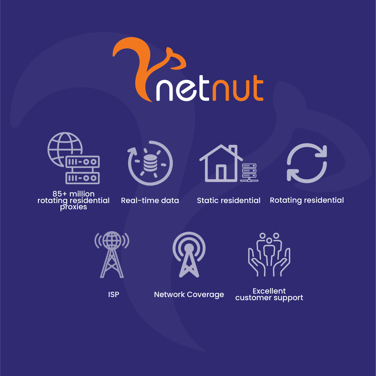 Selecting the Best Proxy Server for Image Scraping- NetNut