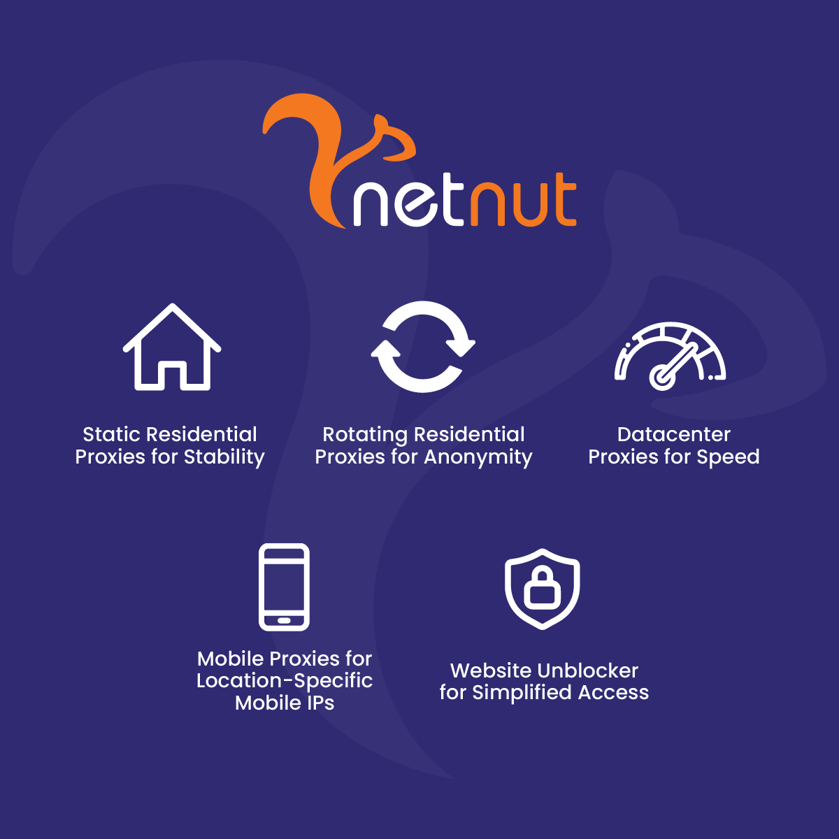 NetNut Proxy Solutions for Specific IP Needs