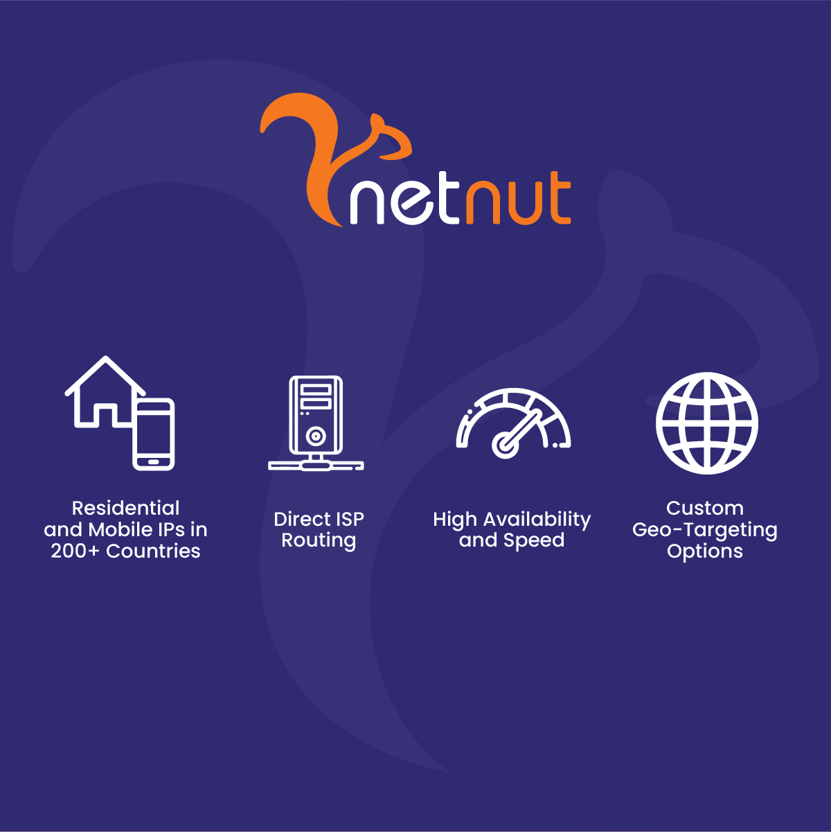 NetNut Proxies for Seamless Geo-Access