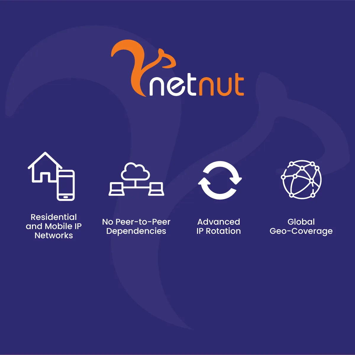 NetNut Proxies: Built to Avoid Detection