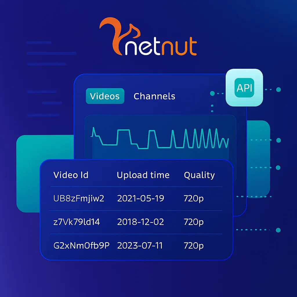 video scraper api of netnut